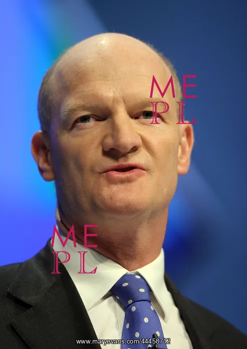 : David Willets MP : David Willets MP