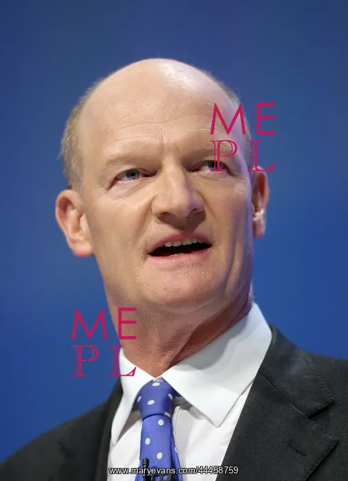 : David Willets MP : David Willets MP