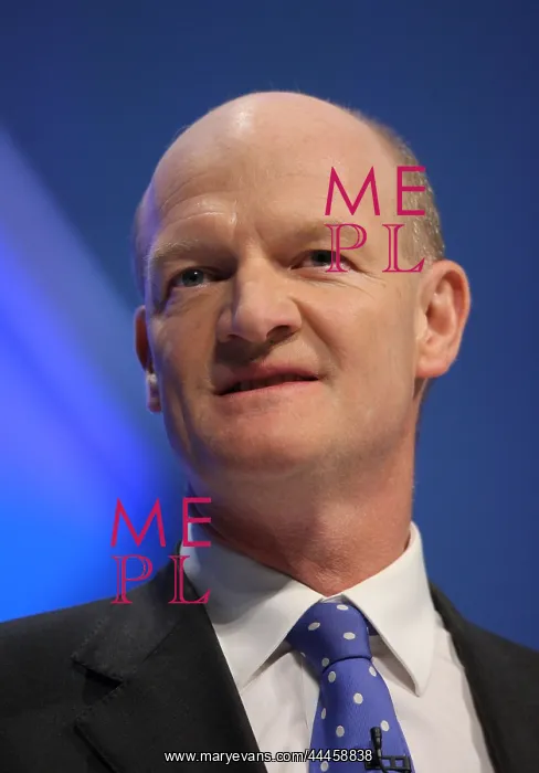 : David Willets MP : David Willets MP