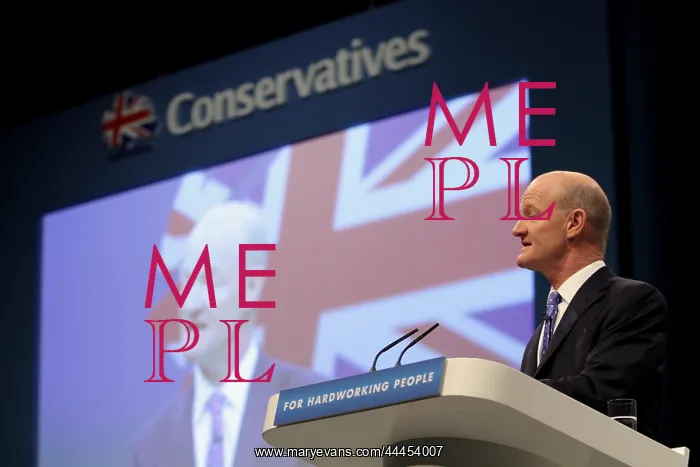 : David Willetts MP : David Willetts MP