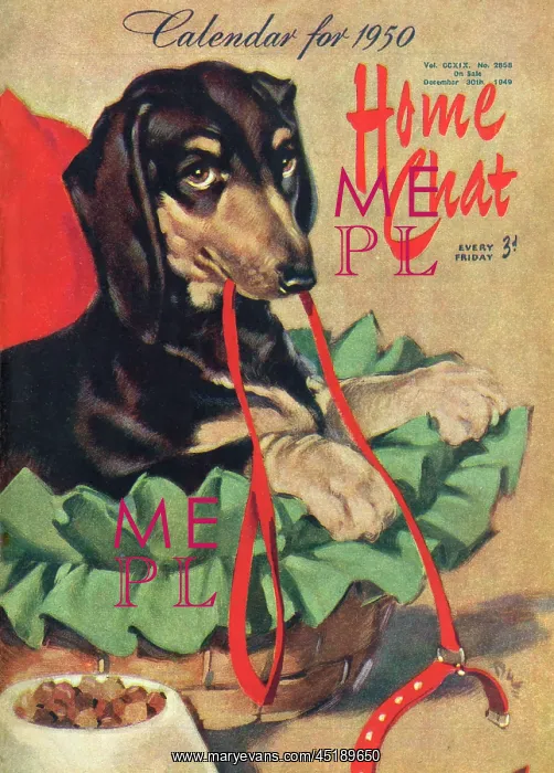 : David Wright Home Chat calendar 1950 featuring dachshund : David Wright Home Chat calendar 1950 featuring dachshund