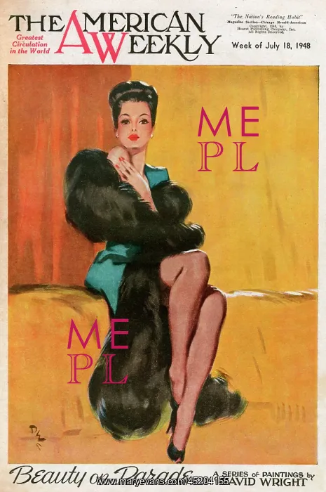 : David Wright woman in black fur stole : David Wright woman in black fur stole