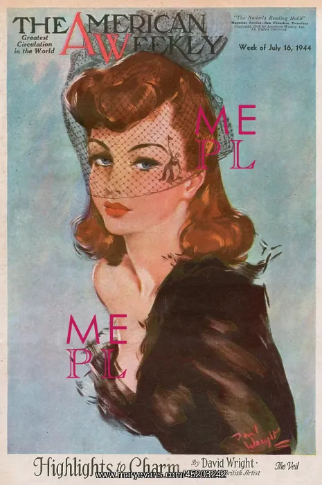 : David Wright woman with black net veil : David Wright woman with black net veil