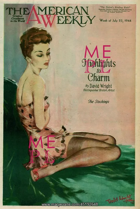 : David Wright woman in stockings and underslip : David Wright woman in stockings and underslip