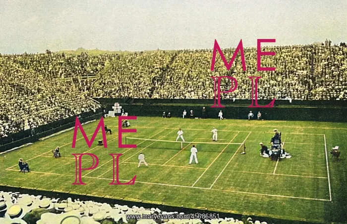 : Davis Cup doubles match, Wilding's last : Davis Cup doubles match, Wilding's last