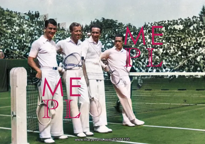 : DAVIS CUP PLAYERS : DAVIS CUP PLAYERS