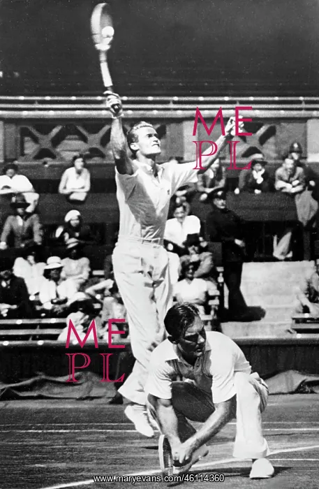 : Davis Cup tennis player : Davis Cup tennis player