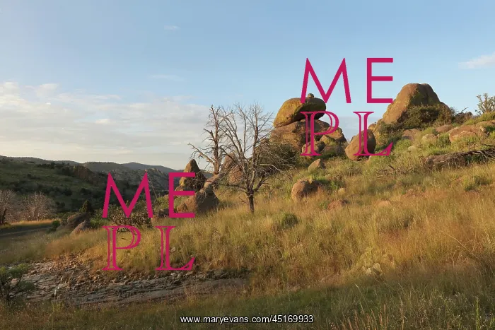 : Davis Mountains State Park, Texas, USA : Davis Mountains State Park, Texas, USA