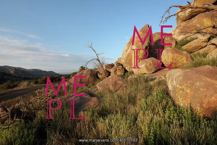  : Davis Mountains State Park, Texas, USA