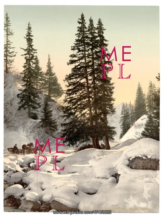 : Davos, in winter, Grisons, Switzerland : Davos, in winter, Grisons, Switzerland