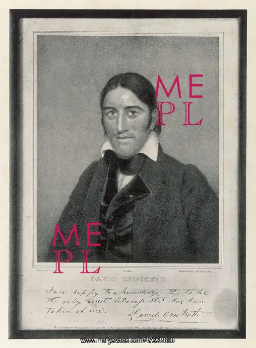 : DAVY CROCKETT : DAVY CROCKETT
