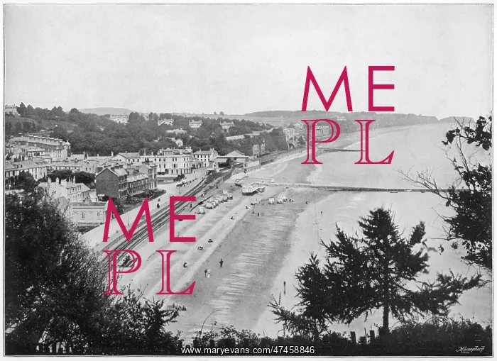  : DAWLISH. Dawlish, Devon
