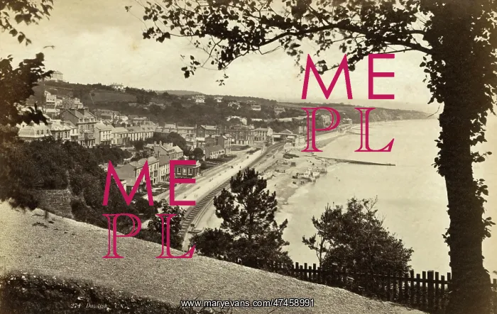  : DAWLISH. Bird's-eye view of Dawlish, Devon