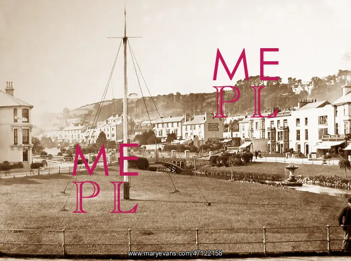  : Dawlish devon