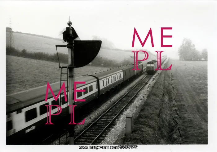 : Dawlish Railway, Devon : Dawlish Railway, Devon