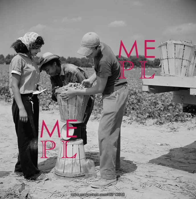: Day Labor - Workers - People - Farm : Day Labor - Workers - People - Farm