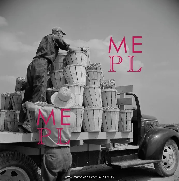 : Day Labor - Workers - People - Farm : Day Labor - Workers - People - Farm