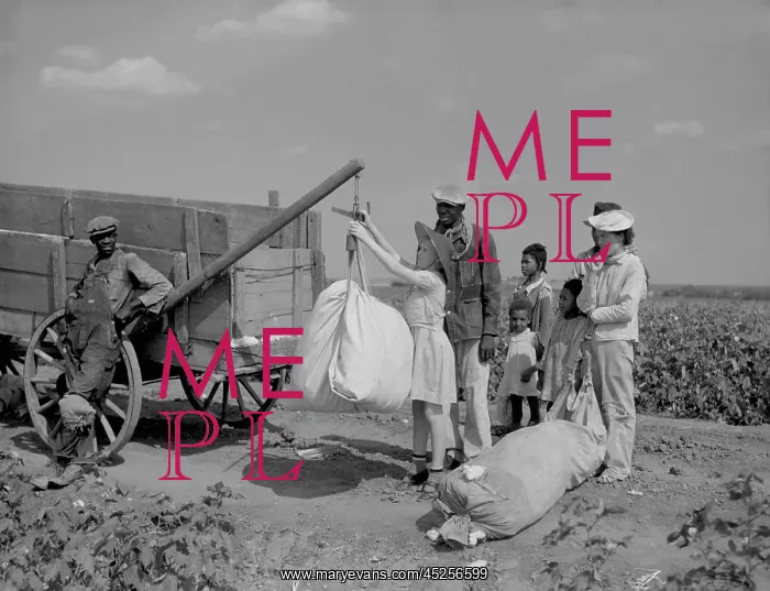 : Day laborers wait as White plantation owner's : Day laborers wait as White plantation owner's