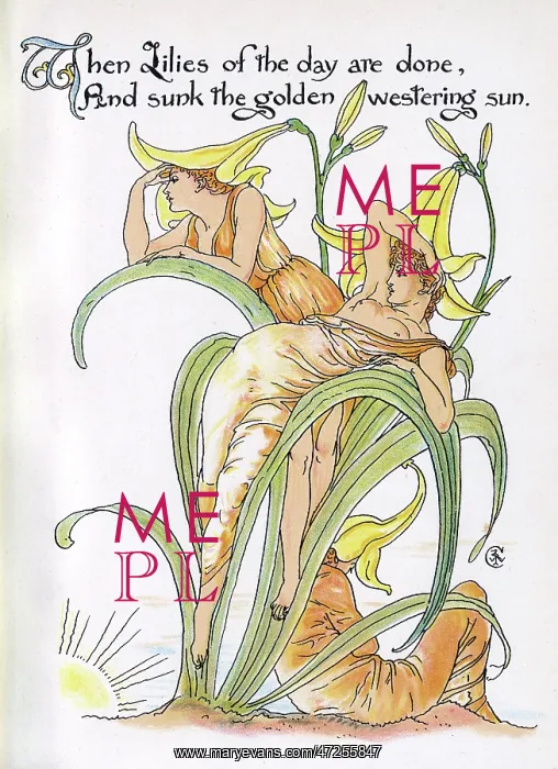 : Day Lily. When Lilies of the day are done, And sunk the golden westering sun : Day Lily. When Lilies of the day are done, And sunk the golden westering sun