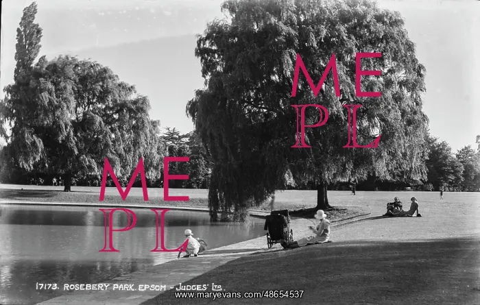 : A Day at Rosebery Park : A Day at Rosebery Park