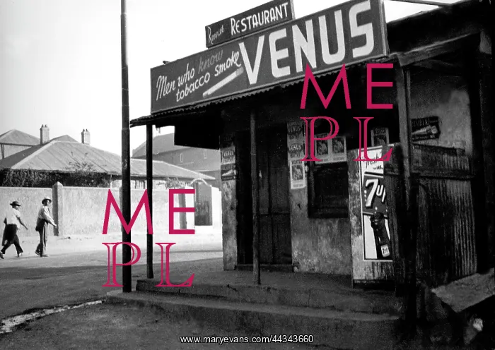 : Last Days Of Sophiatown : Last Days Of Sophiatown