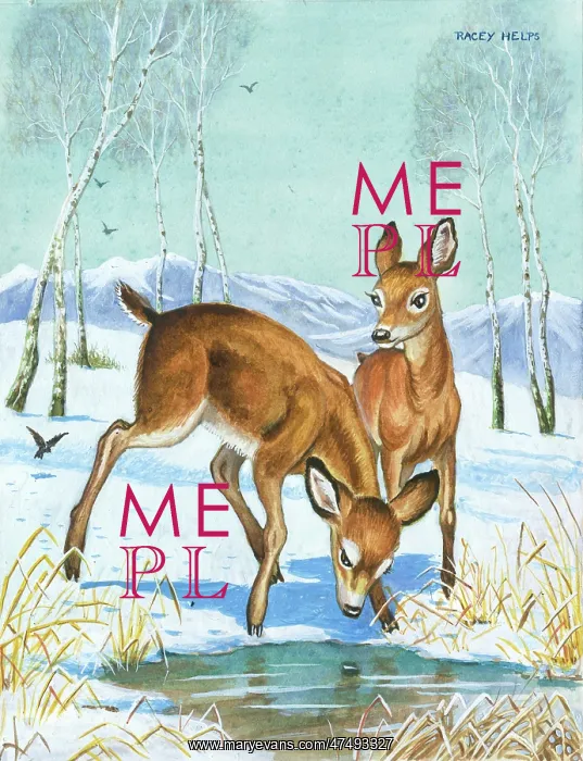 : Ddeer trying to drink from a frozen pool : Ddeer trying to drink from a frozen pool