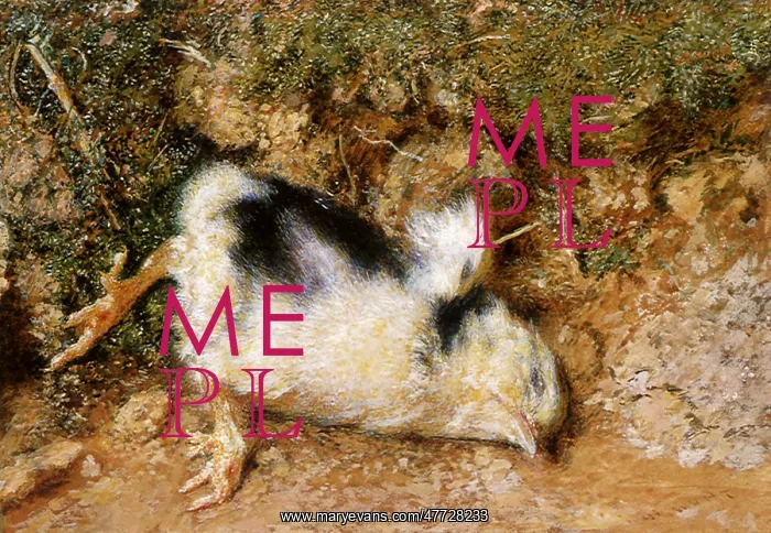  : Dead Bird