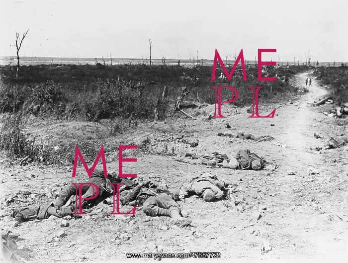 : Dead German soldiers WWI : Dead German soldiers WWI