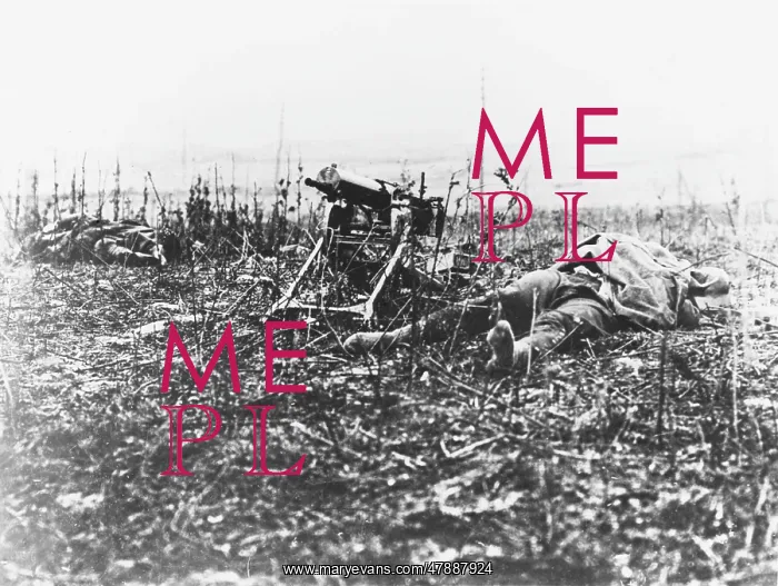 : Dead German soldiers WWI : Dead German soldiers WWI