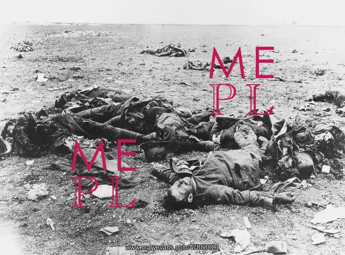 : Dead German soldiers WWI : Dead German soldiers WWI