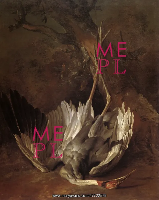  : Dead Heron