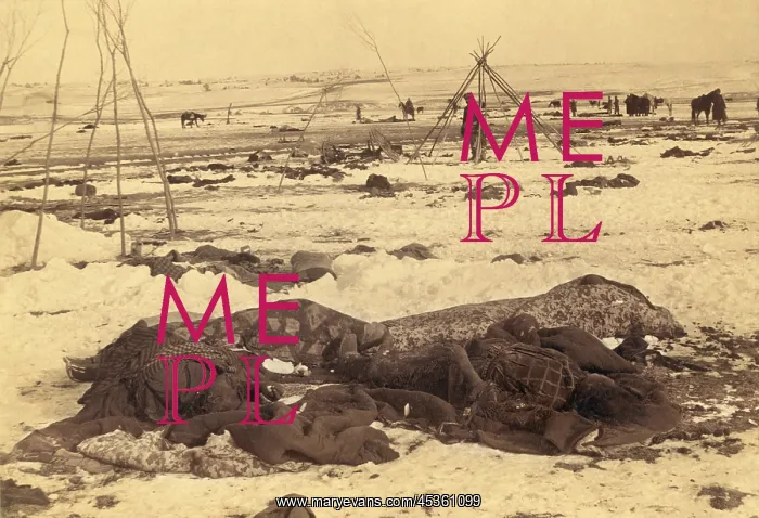 : Several dead Lakota Sioux are wrapped in blankets : Several dead Lakota Sioux are wrapped in blankets