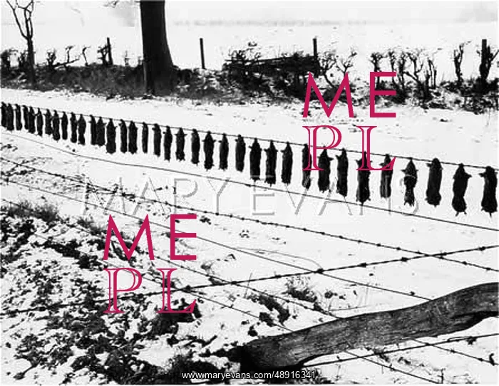 : DEAD MOLES IN THE SNOW : DEAD MOLES IN THE SNOW