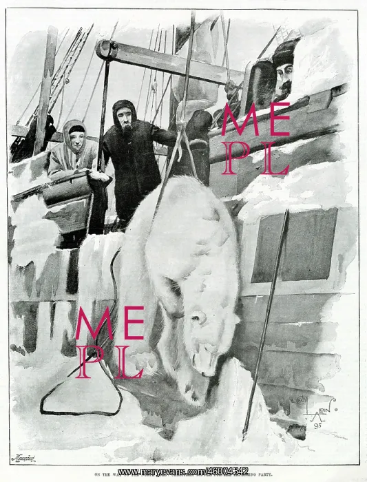 : A Dead Polar Bear being winched onto the Fram, 1895 : A Dead Polar Bear being winched onto the Fram, 1895