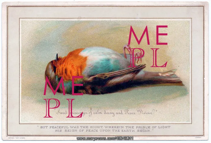  : Dead robin on a Christmas card