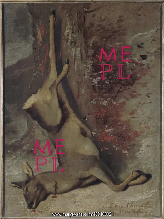 : The dead roe deer : The dead roe deer