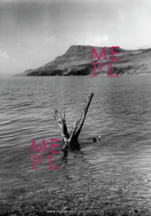  : Dead Sea. Palestine. About 1930. Photograph by Zoltan Kluger
