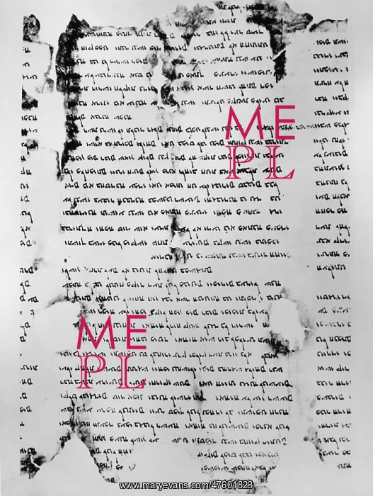 : Dead Sea Scroll : Dead Sea Scroll