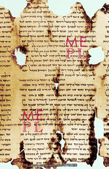 : Dead Sea Scroll : Dead Sea Scroll