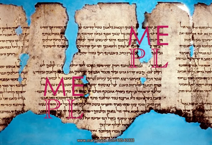 : Dead Sea Scroll : Dead Sea Scroll