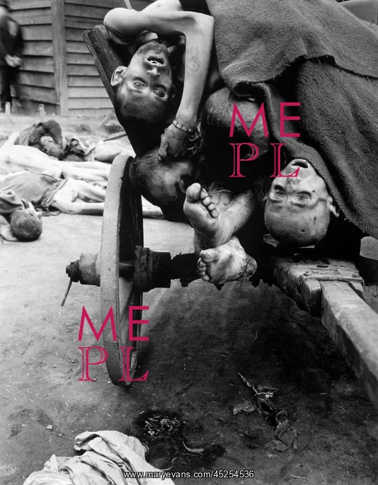 : Some of the dead slave laborers at the Mauthausen-Gusen : Some of the dead slave laborers at the Mauthausen-Gusen