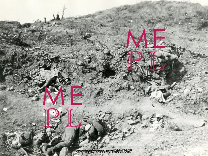 : Dead soldiers on a battlefield, WW1 : Dead soldiers on a battlefield, WW1