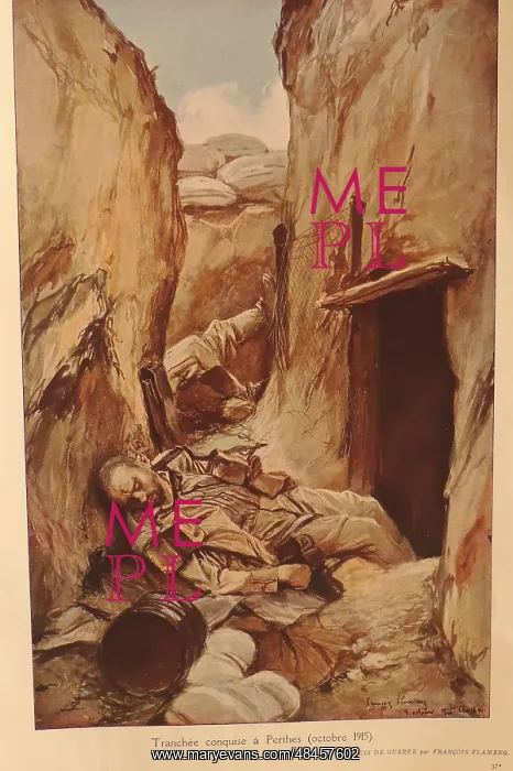: Dead Soldiers in a Trench : Dead Soldiers in a Trench