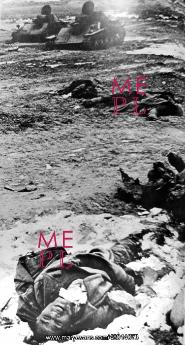 : Dead soviet soldier in front of the German position near Sta : Dead soviet soldier in front of the German position near Sta