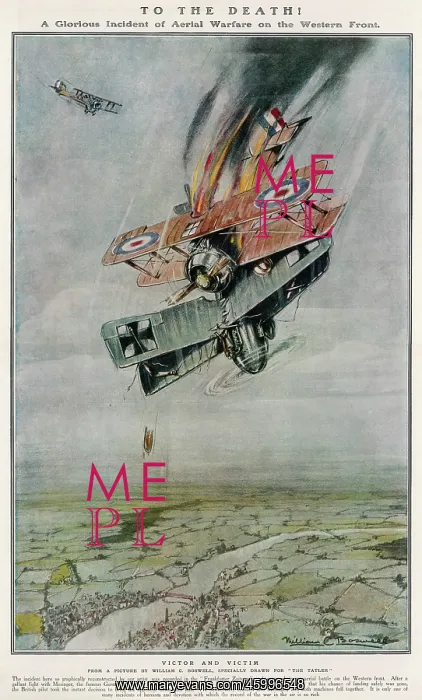 : TO THE DEATH! : TO THE DEATH!