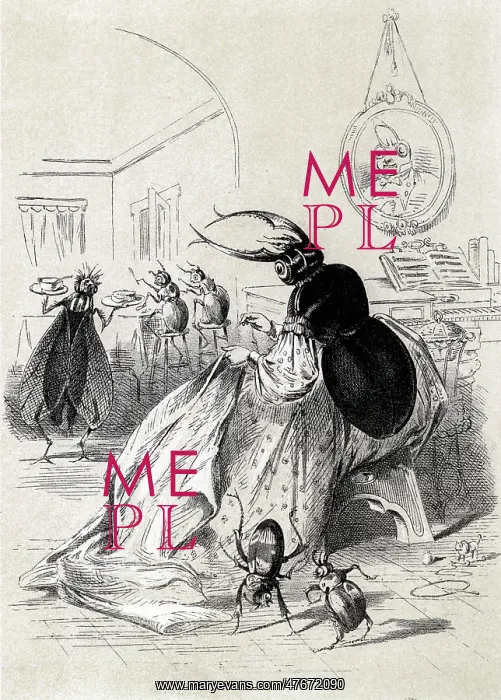 : Death and Burial of Poor Cock, The Beetle : Death and Burial of Poor Cock, The Beetle