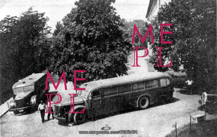 : Death Buses : Death Buses