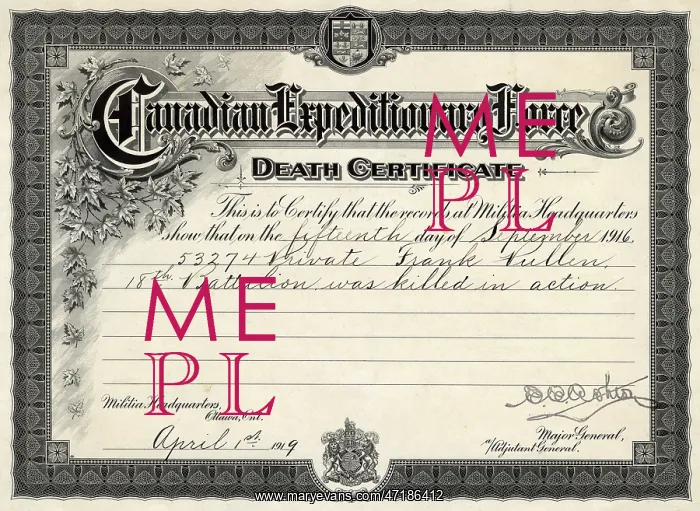 : DEATH CERTIFICATES 1916 : DEATH CERTIFICATES 1916