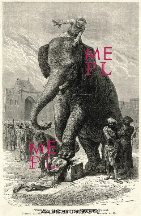 : DEATH BY ELEPHANT : DEATH BY ELEPHANT