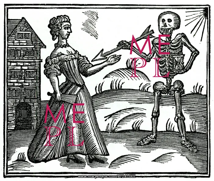  : DEATH AND THE MAIDEN